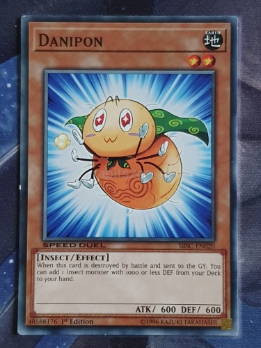 Danipon (C)