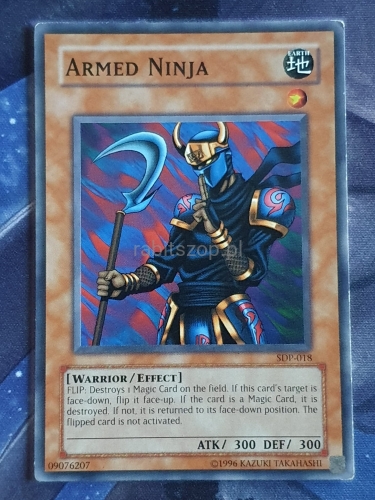 Armed Ninja (C)
