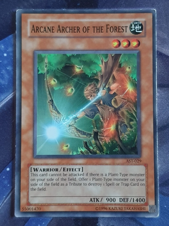 Arcane Archer of the Forest (C)