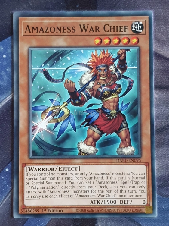 Amazoness War Chief (C)
