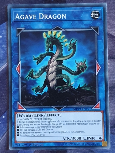 Agave Dragon (C)