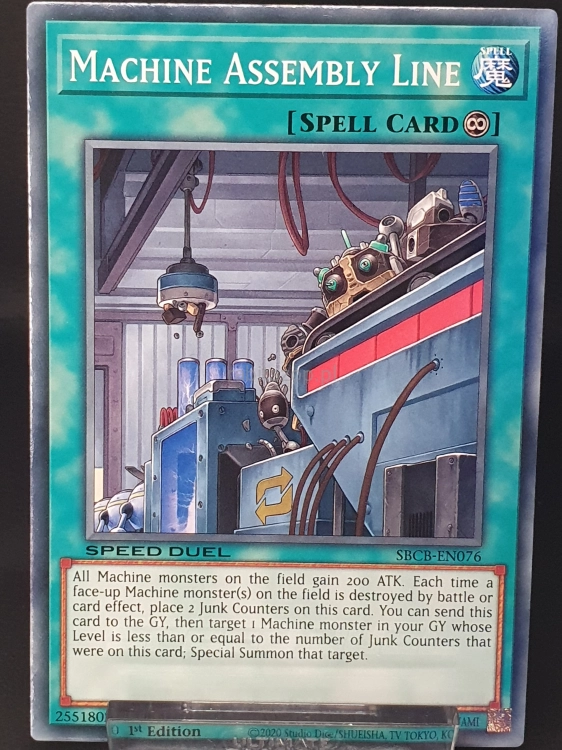 20260419_114952.jpg